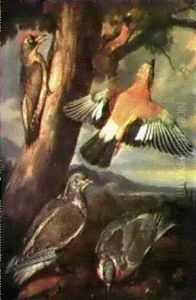 A Landscape With Green Woodpecker, A Jay, Two Pigeons, A    Redstart, A Lizard And Two Frogs