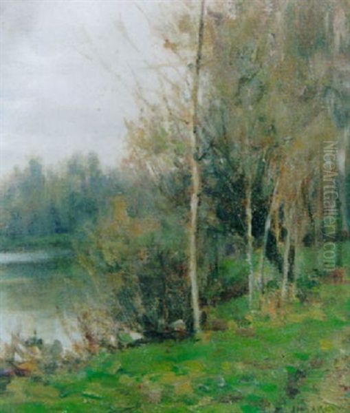 Wooded Summer Landscape - view 1