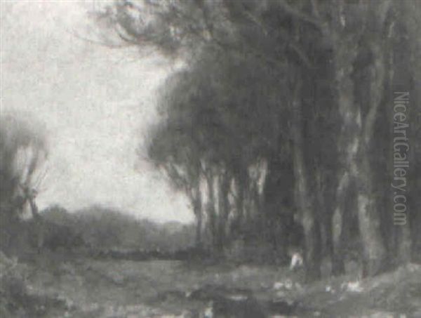 The Edge Of The Wood - view 1