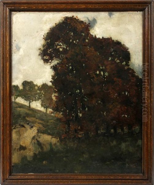 Valley With Trees - view 1