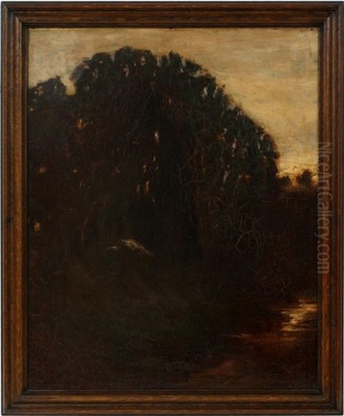 Forest Scene - view 1