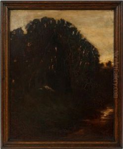Forest Scene Forest Scene