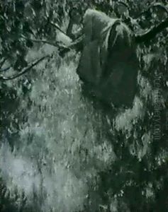 A Young Woman Reading On A Fallen Branch by Myron Barlow