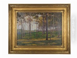Chatham Locust Forest