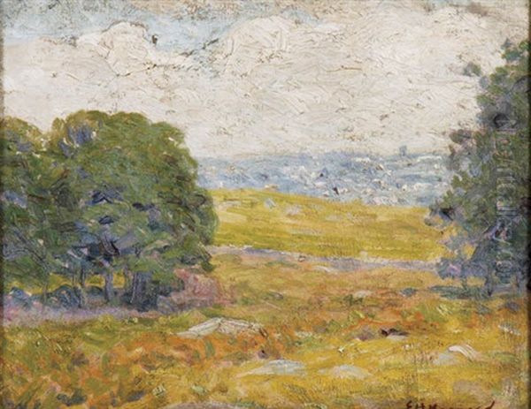 Impressionistic Summer Landscape - view 1
