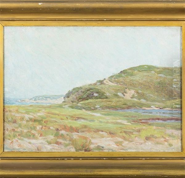 Shore Scene With Grassy Dunes - view 1