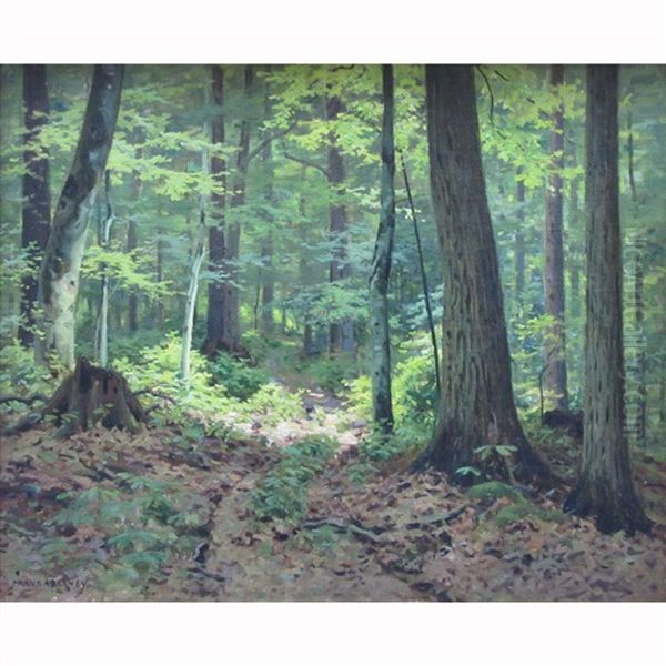 Sun-dappled Path Through The Trees - view 1
