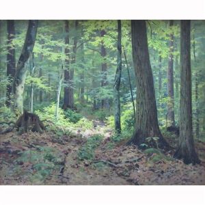 Sun-dappled Path Through The Trees by Frank A. Barney