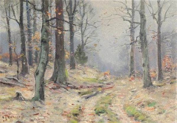 Road Through The Woods - view 1