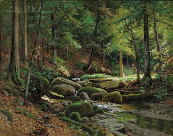 Adirondack Woods - view 1