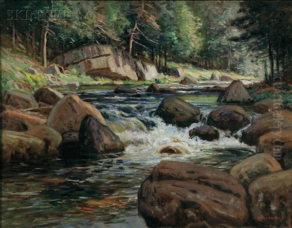 Adirondack Stream - view 1