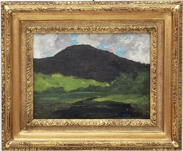 Hill In Sunlight - view 1