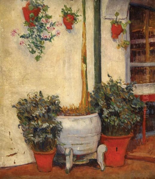Plants In A Patio - view 1