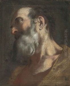 Head Of A Bearded Man In A Brown Coat (study) Head Of A Bearded Man In A Brown Coat (study)