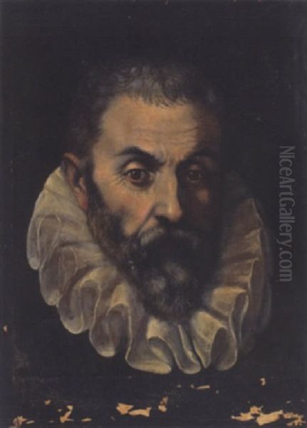 Portrait Of A Gentleman (guidoballdo Della Rovere, Duke Of Urbino?) - view 1