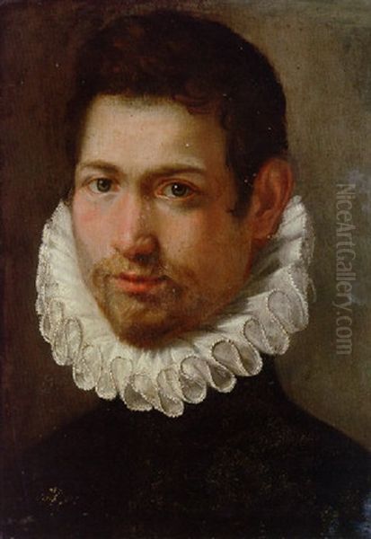 Portrait Of A Young Man In A White Ruff - view 1