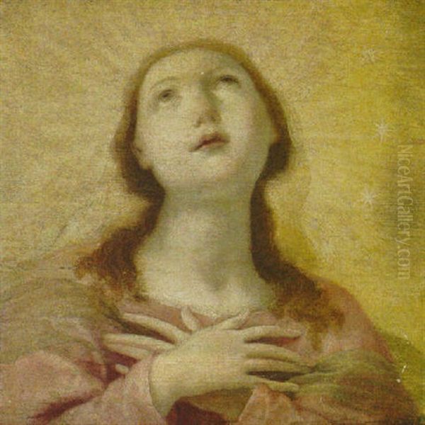 The Immaculate Conception - view 1