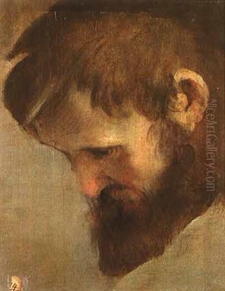 The Head Of A Bearded Man Looking Down - view 1