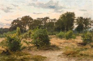 Paysage - Bruyere