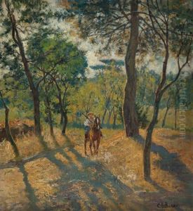 Cacciatore Nel Bosco Cacciatore Nel Bosco