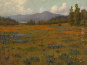 Poppy And Lupine Landscape Poppy And Lupine Landscape