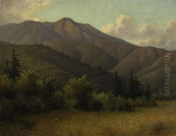 Mount Tamalpais With Redwoods - view 1