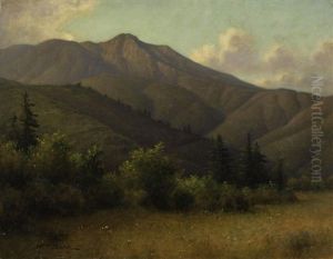 Mount Tamalpais With Redwoods
