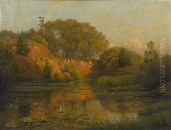Evening Sunshine, Golden Gate Park - view 1