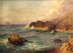 Rocky Coast With Sea Gulls