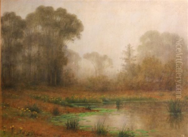 Lily Pond In The Fog - view 1