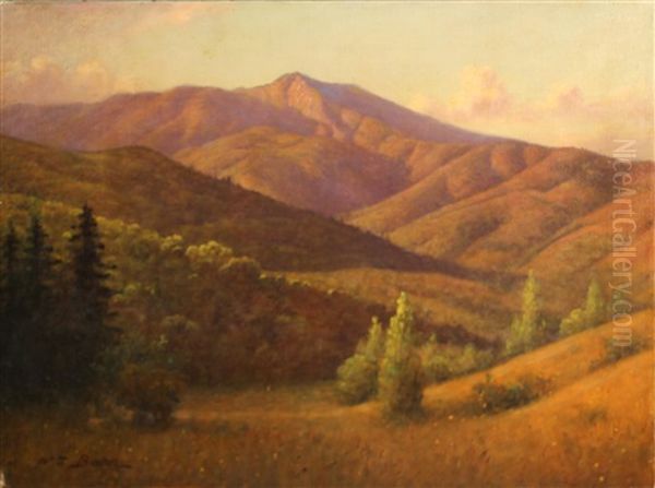 Marin Hillside, Mount Tamalpais - view 1