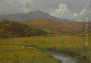 Wildflowers Along A Stream Beneath Mount Tamalpais by William Barr