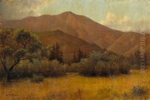 Tamalpais With Ceaonothus by William Barr