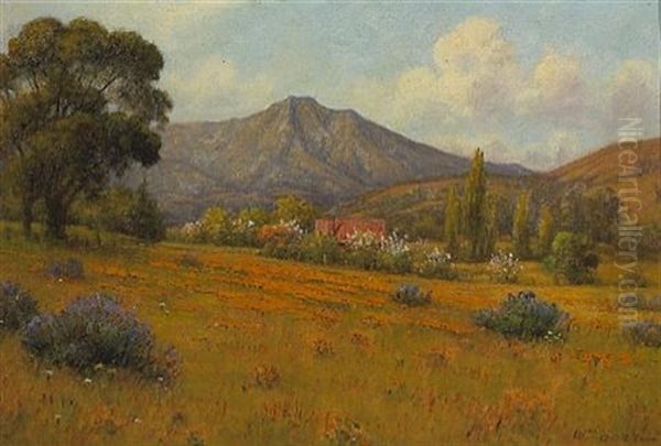 Tamalpais From Greenbrae - view 1