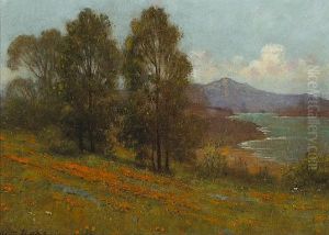 Poppies And Lupine On A Hillside With Mt. Tamalpais Beyond