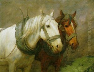 Stable Companion by William Barr