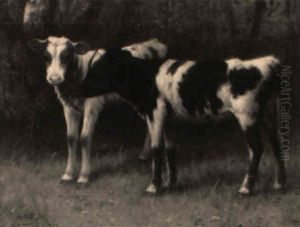 Calves In A Meadow