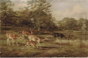 Stags And Hinds by Thomas Barratt Of Stockbridge