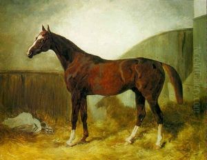 A Bay Racehorse In A Stable