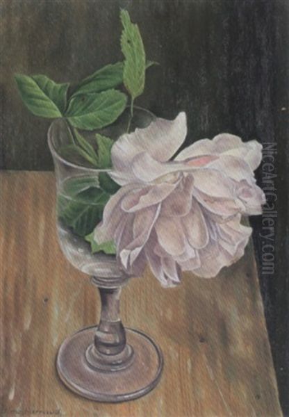 Stillleben Mit Weisser Blute In Einem Glas - view 1