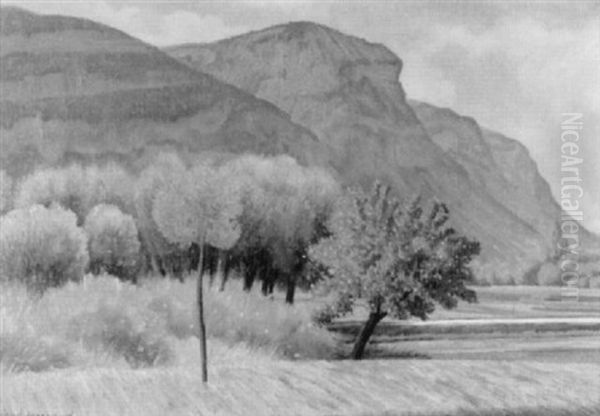 Sommerlandschaft Mit Baumgruppe Vor Einer Bergkette - view 1