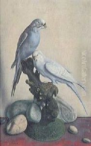 Zwei Blaue Wellensittiche by Aime Victor Barraud