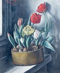 Tulipes