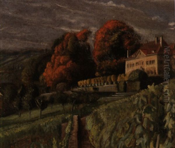 Le Chataux De Monsieur Grad-d'hauteville, Blonay - view 1