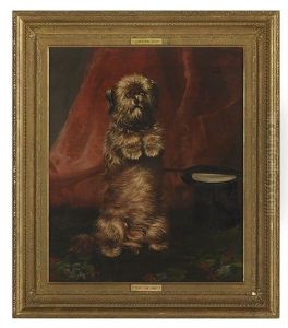 Sit Up Sir: Ginger by Henry Barraud