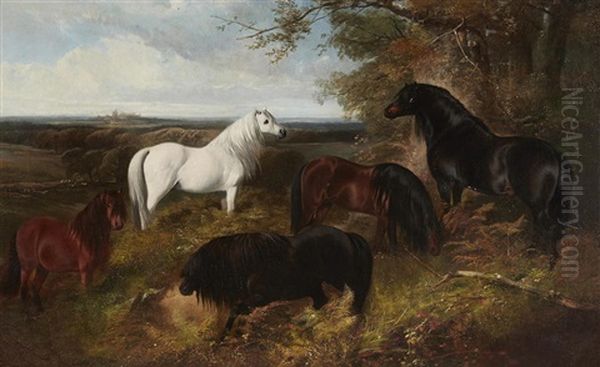 The Queen's Ponies In Windsor Park, With Windsor Castle Beyond - view 1