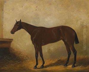 Olympia, A Dark Bay Racehorse In A Loose Box by Henry Barraud
