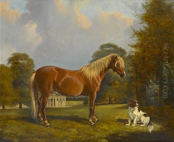 A Palomino Pony And Setter - view 1