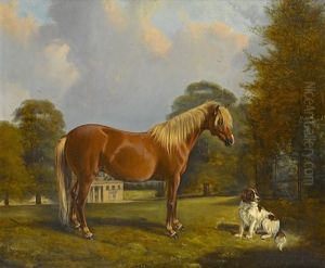 A Palomino Pony And Setter by Henry Barraud
