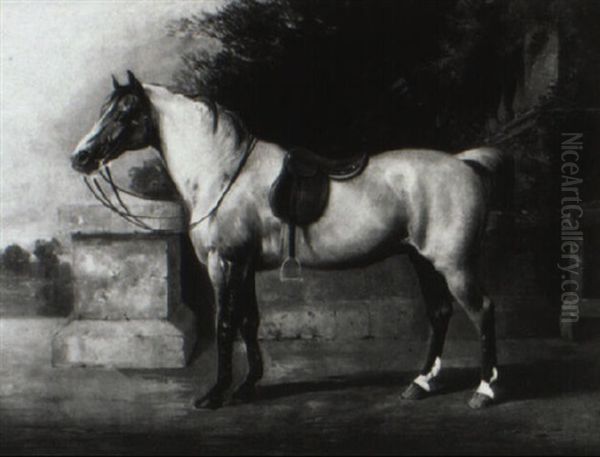 Colonel H. Thompson's Favorite Hunter - view 1